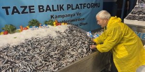 Hamsi Fiyatı Yüzleri Güldürdü, Kilosu 60 Liraya Düştü