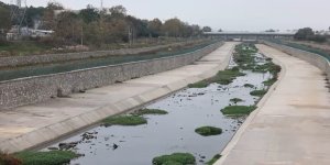 Gönen Çayı'nda Ekolojik Çöküş: Bilim İnsanlarından Acil Eylem Çağrısı