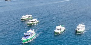 TURMEPA Filosuyla Koylarımız Bu Yıl Da Koruma Altındaydı