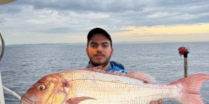 Çanakkale'de Balıkçılar 12 Kilogramlık Mercan Balığı Yakaladı