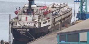 Bandırma Açıklarında Kriz: Spiridon-II Gemisindeki Büyükbaş Hayvanların Durumu Endişe Yarattı