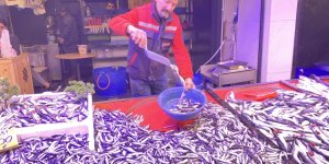 Denizlerde Bollaşan Hamsi Tezgahlarda 100 TL’ye Yer Buldu