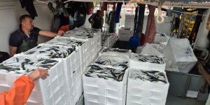 Tayfalar Mutlu: Yüzlerce Kasa Balık Yakalandı