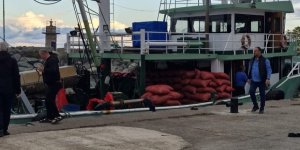 Kastamonu'da Beyaz Kum Midyesi Denetimi