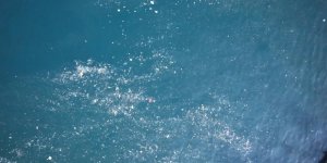 Balat Sahilinde Olta Atan Balıkçılar Deniz Yüzeyinde Oluşan Kirlilikten Şikayetçi