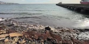 Tekirdağ’da Poyraz Kızıl Yosun Sürükledi