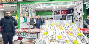 Geç Gelen Kış Balığın Tadını Kaçırdı