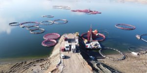 Bozkırın Ortasında Yetişti, Rusya ve Japonya Yolcusu Oldu