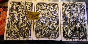 İstavrit Hamsiyi Tahtından Etti