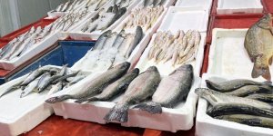 Geciken Kış Konya'da Balığı Da Vurdu