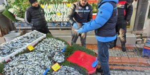 Balık Tezgâhları Yakın Takipte