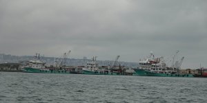 Türkiye'yi Terk Eden Hamsinin Yolu Gözleniyor