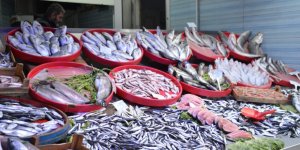 Bu Yıl Tezgahların Yıldızı Palamut Yerine Karadeniz Hamsisi Oldu