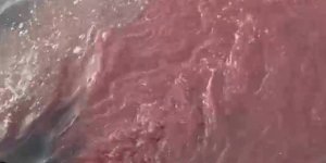 Bandırma'da Deniz Yüzeyi Kırmızıya Döndü