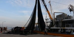 İğneada ve Gürcistan Açıklarındaki Hamsi Avı Beklentileri Karşılamadı