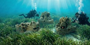 Mavi Ekonomi Davos Gündeminde: Türk Girişimi NESEA’dan Denizlere Restoratif Dokunuş