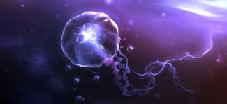 Denizanalarının ilginç özelliği