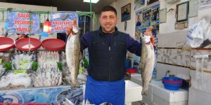 Kilis'te Hamsi Sevinci: Vatandaşlar Çiğ Çiğ Yedi