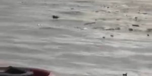 Denizi Şehir Çöplüğüne Çevirdiler