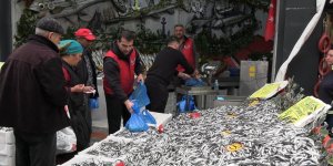 Edirne'de Hamsinin Kilosu 50 liraya Düştü, Tezgahlar Şenlendi