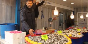 Menteşe Pazarında Hamsi Ucuzladı