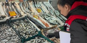 Tekirdağ'da Su Ürünlerine Sıkı Denetim