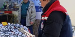 Tekirdağ’da Su Ürünleri Denetimi Aralıksız Sürüyor