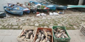 Beyşehir Gölü'nde Av Yasağı Başlıyor