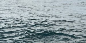 Kırklareli Açıklarında Tespit Edilen Mayın İmha Edildi