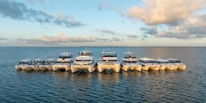 Tezman Holding A.Ş. Denizcilik Sektöründe Stratejik Bir Adım Olarak Selmarin Turizm ve Ticaret A.Ş.’yi Kurdu