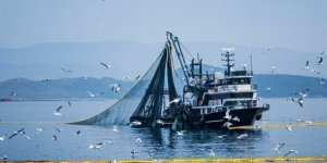 Denizlerde Av Yasağı 15 Nisan'da Başlıyor