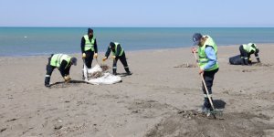 Hatay Büyükşehir Belediyesi, Sahillerde Temizlik Çalışmasını Yıl Boyu Sürdürüyor