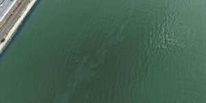 İzmir Körfezi’nde Kirlilik Alarmı: Aynı Tehdit 11. Kez Görüldü