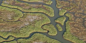 Gediz Havzası’nda Kirlilik Artıyor