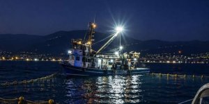 Gemlik Körfezi'nde Sardalya Avcılığı Başladı