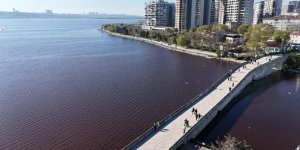 Küçükçekmece Gölü Kırmızıya Döndü