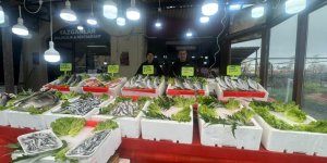 Alaplı Balıkçı Tezgahlarında Çeşit Bitti Mezgit Fiyatı 500 Liraya Çıktı