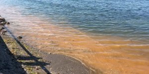 Mudanya'da Müsilajdan Sonra Turuncu Alarm