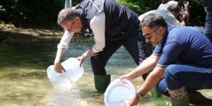Kocaeli Sularına 50 Bin Kırmızı Benekli Alabalık Dopingi