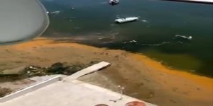 Müsilaj Yeniden Gemlik Körfezi'nde