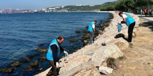 Dilovası'nda Marmara Denizi İçin Sahil Temizliği Yapıldı