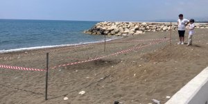 Koruma Alanı Dışına Yuva Yapan Caretta Caretta İçin Şeritli Tedbir
