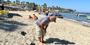 Didim’de İkinci Caretta Yuvası Koruma Altına Alındı