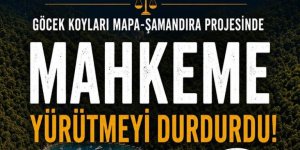 Göcek Koy Yönetim Sistemi'nde Yürütmeyi Durdurma Kararı