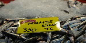 Yazın Favorisi Sardalya ve İstavrit Oldu
