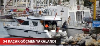 Bodrum'da 54 göçmen yakalandı