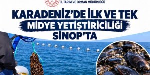 Sinop'ta 9 Ayda 182 Ton Midye Hasadı