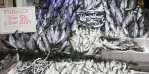 900 Gramlık Palamut 50 Lira: Vatandaş Sıraya Girdi