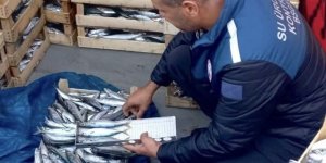Mersin'de Yasa Dışı Balık Avcılığına Karşı Denetimler Sürüyor