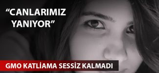 TMMOB Gemi Mühendisleri Odası katliama sessiz kalmadı
